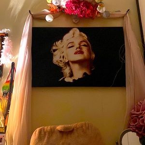 Marlene Monroe Art frames all for $300